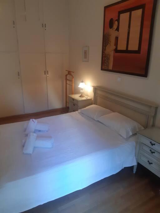 Classical Apartment At Lycabetus Hill アテネ エクステリア 写真