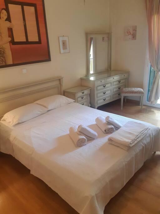 Classical Apartment At Lycabetus Hill アテネ エクステリア 写真